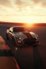 Ford Mustang Shelby GT500 2019 года